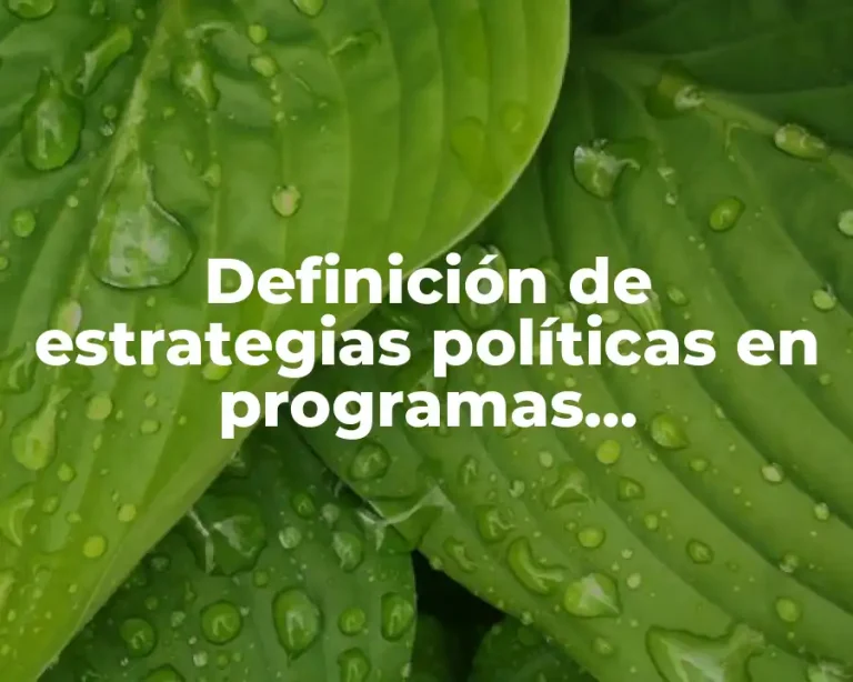 Definición de estrategias políticas en programas procedimientos de una empresa