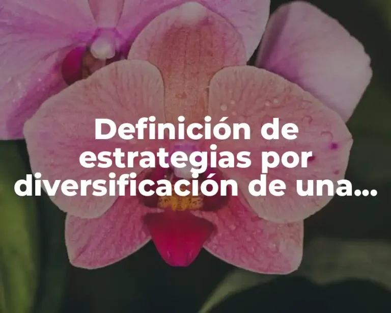 Definición de estrategias por diversificación de una empresa