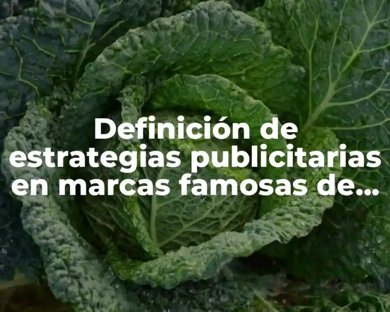 Definición de estrategias publicitarias en marcas famosas de servicios