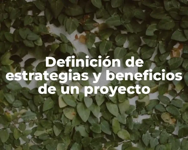 Definición de estrategias y beneficios de un proyecto