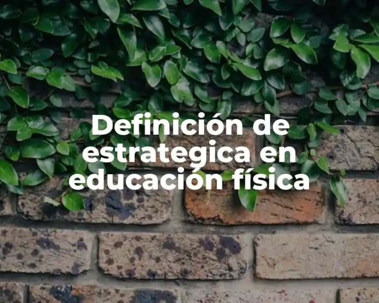 Definición de estrategica en educación física