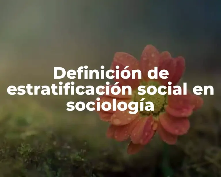 Definición de estratificación social en sociología