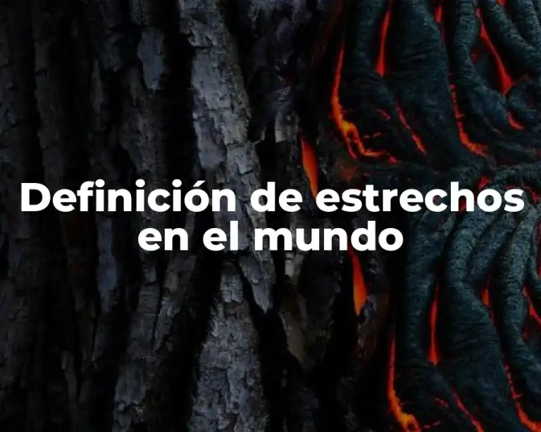 Definición de estrechos en el mundo