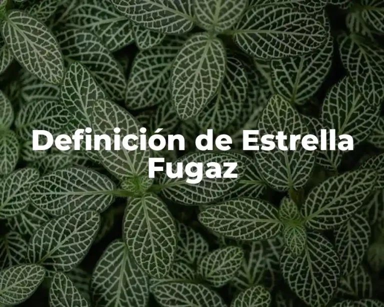 Definición de Estrella Fugaz