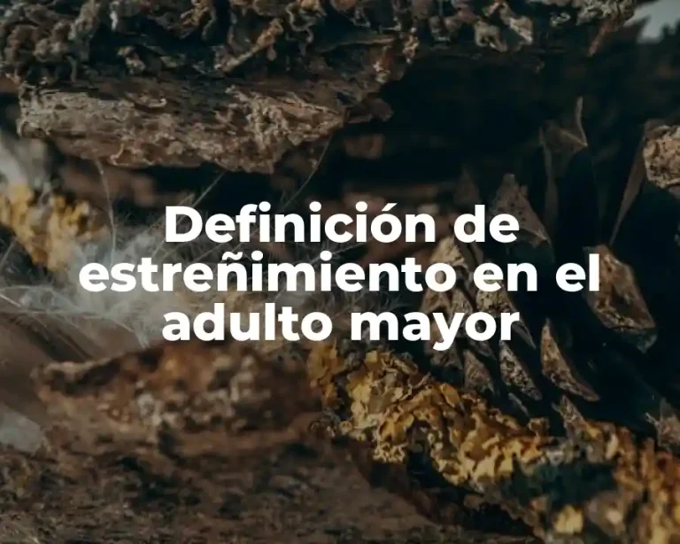 Definición de estreñimiento en el adulto mayor