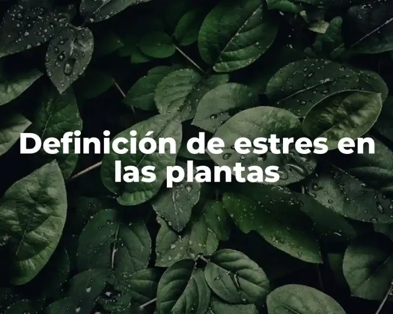 Definición de estres en las plantas