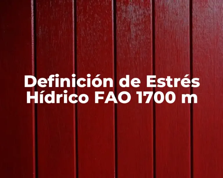 Definición de Estrés Hídrico FAO 1700 m