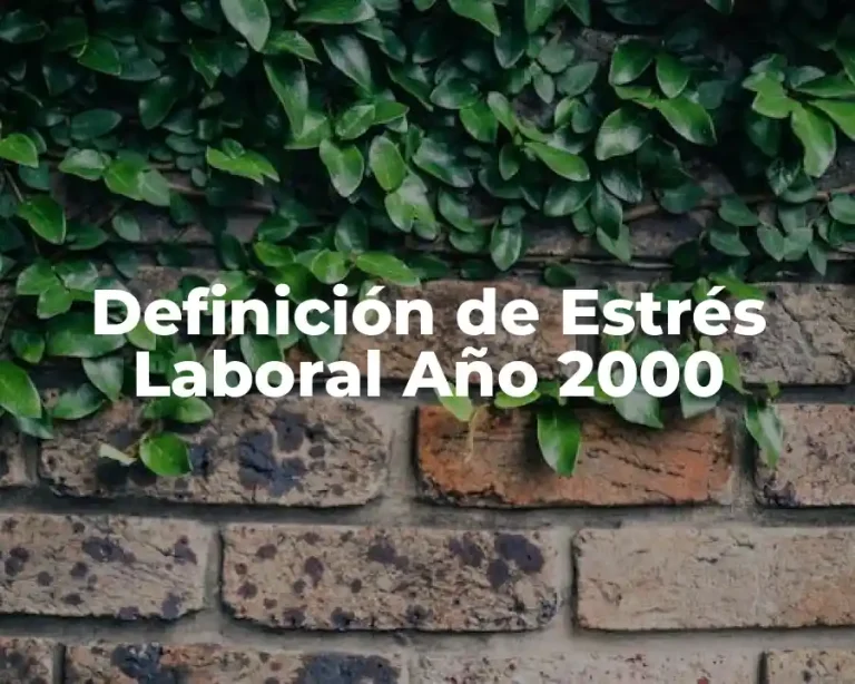Definición de Estrés Laboral Año 2000