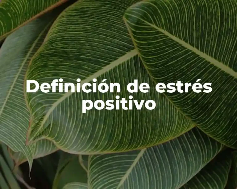 Definición de estrés positivo
