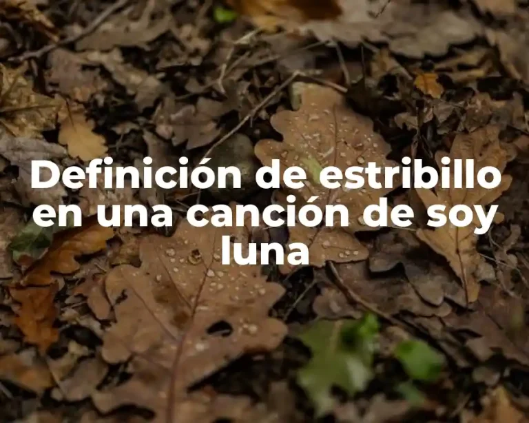 Definición de estribillo en una canción de soy luna