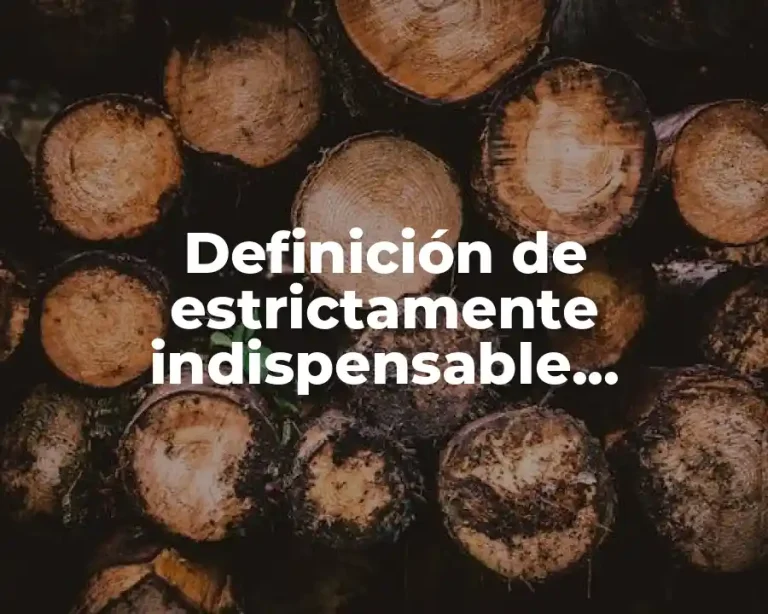 Definición de estrictamente indispensable deducción art 31