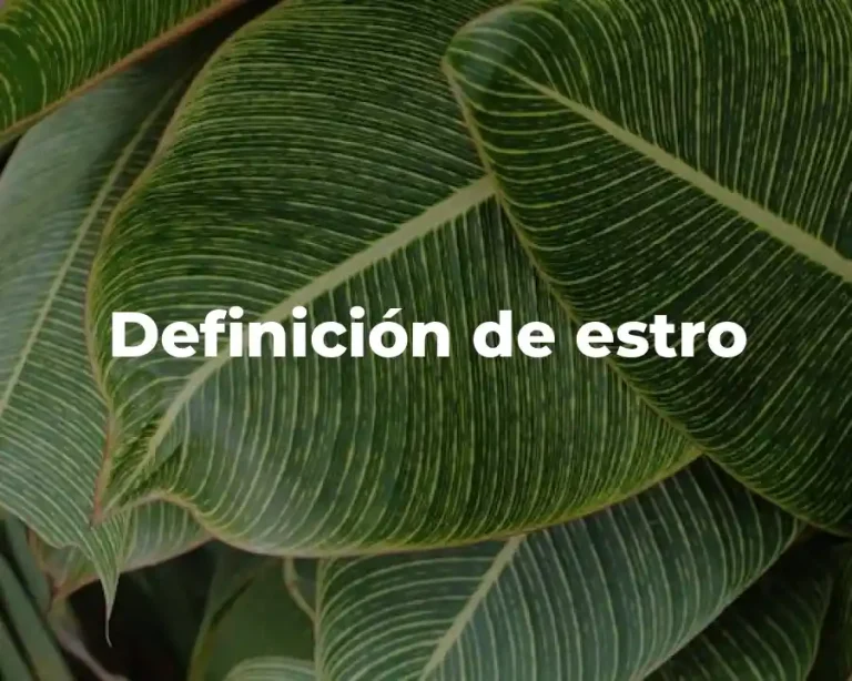 Definición de estro
