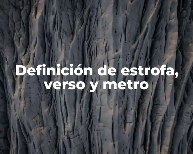 Definición de estrofa, verso y metro