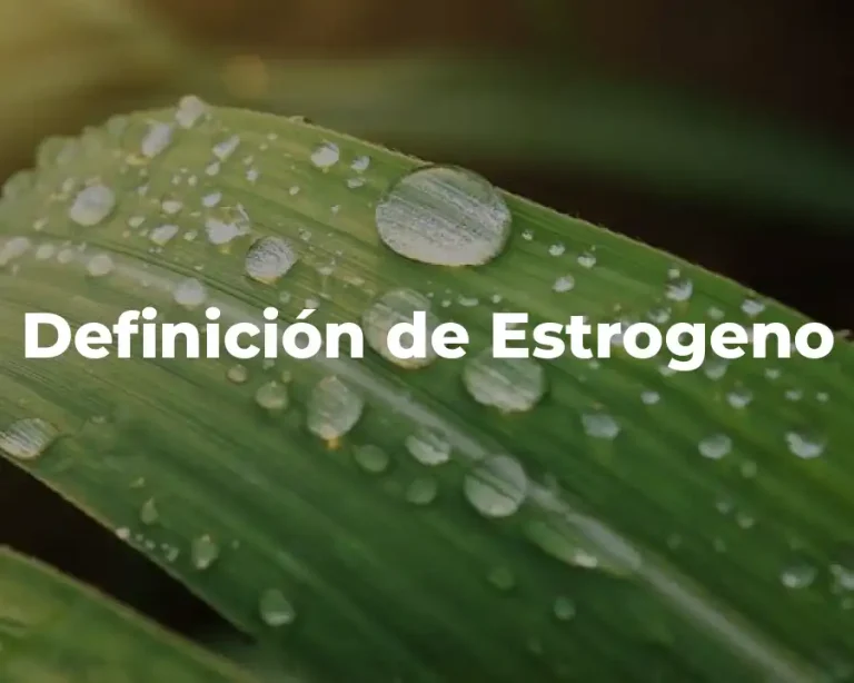 Definición de Estrogeno
