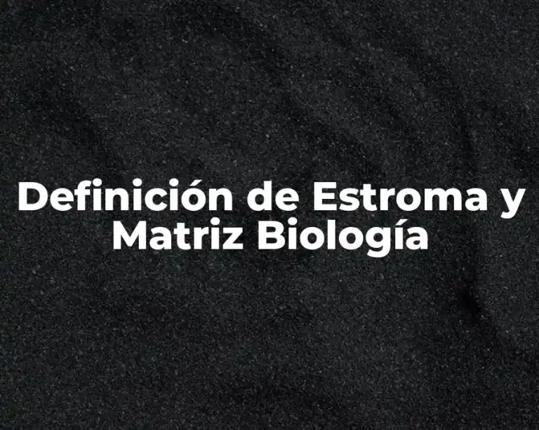 Definición de Estroma y Matriz Biología
