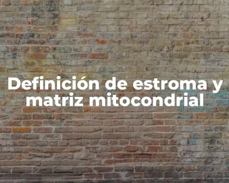 Definición de estroma y matriz mitocondrial