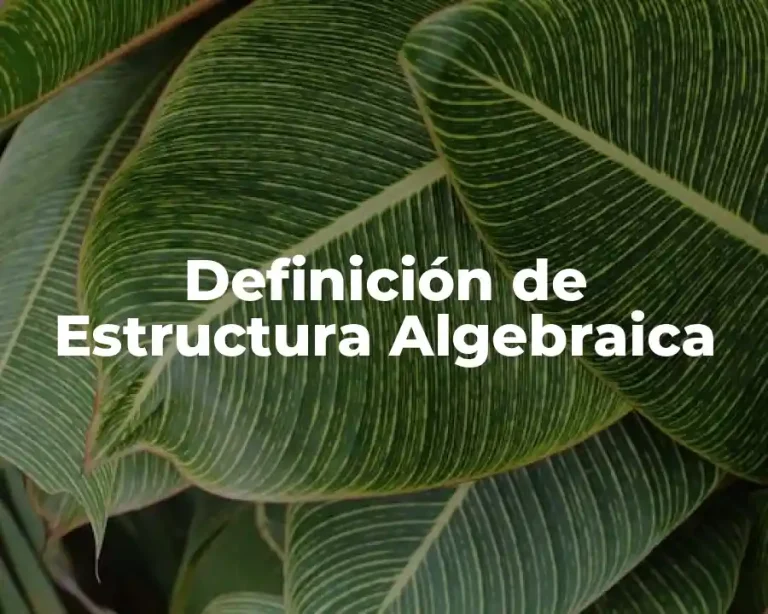 Definición de Estructura Algebraica