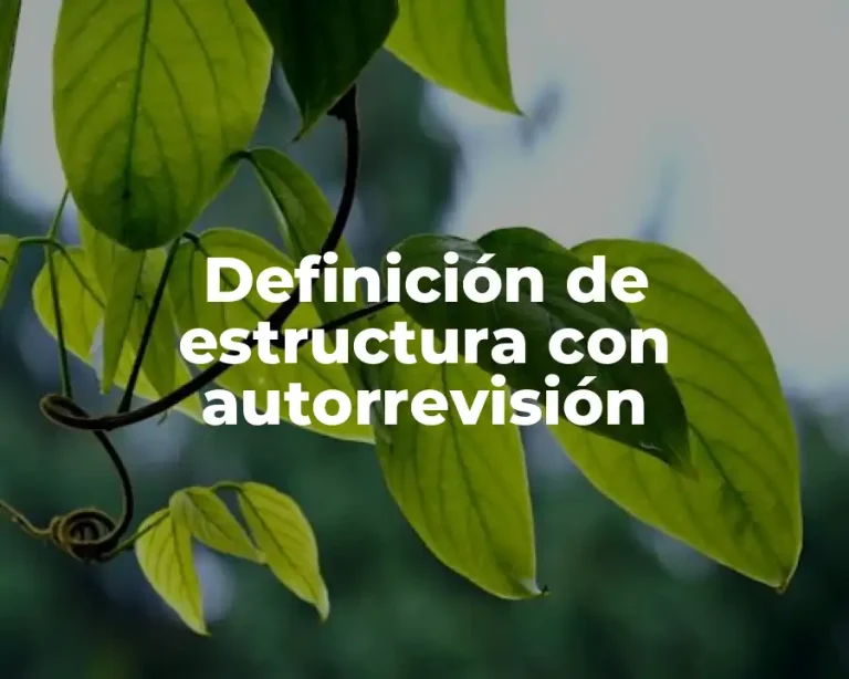 Definición de estructura con autorrevisión