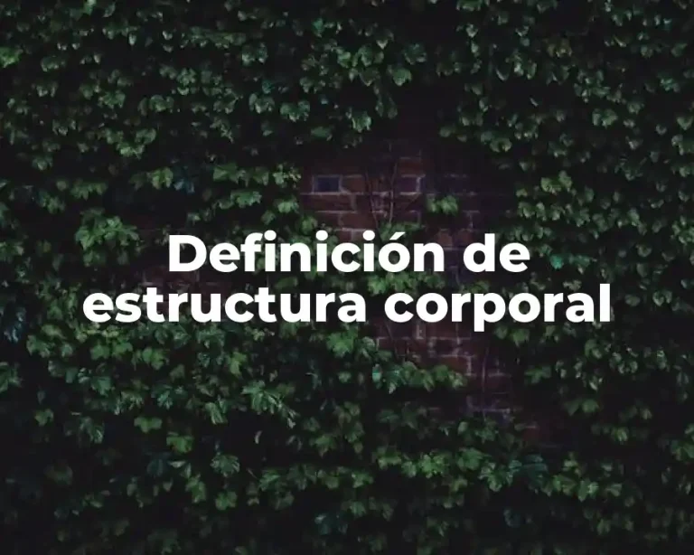 Definición de estructura corporal