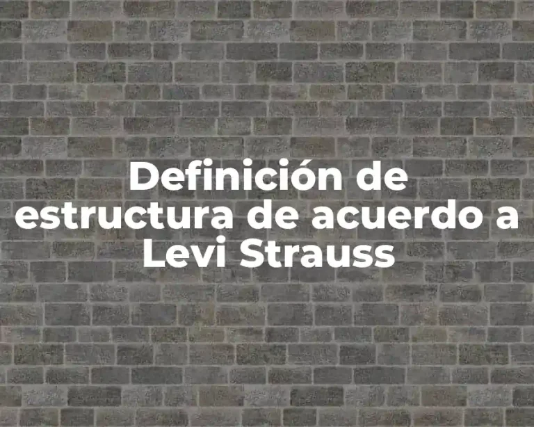 Definición de estructura de acuerdo a Levi Strauss
