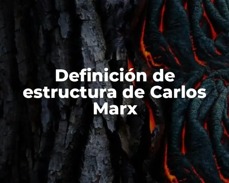 Definición de estructura de Carlos Marx