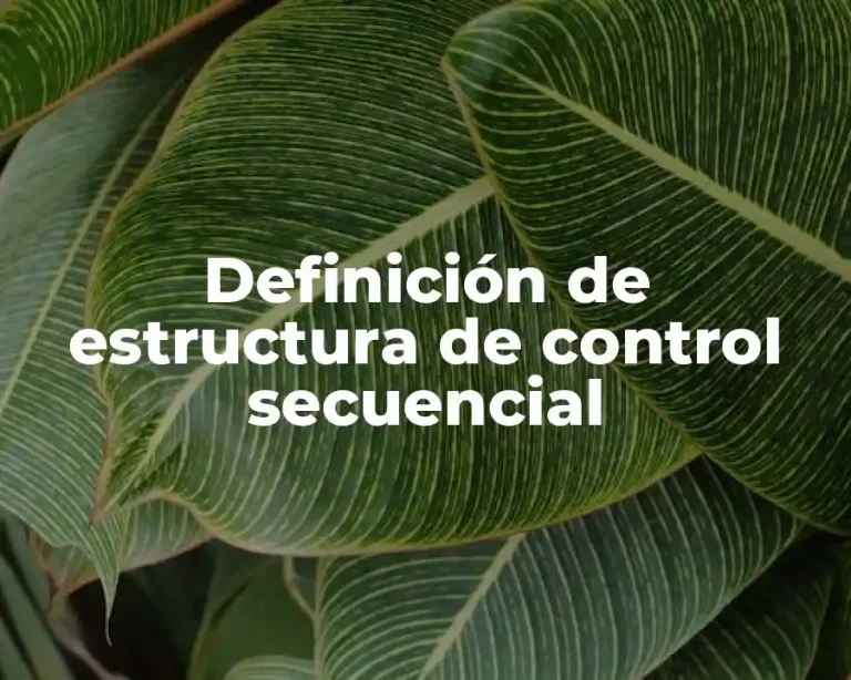 Definición de estructura de control secuencial
