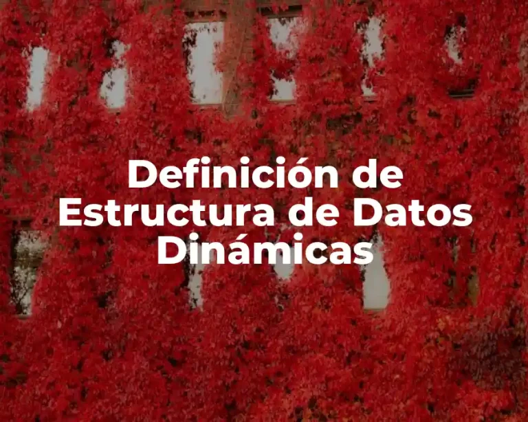 Definición de Estructura de Datos Dinámicas