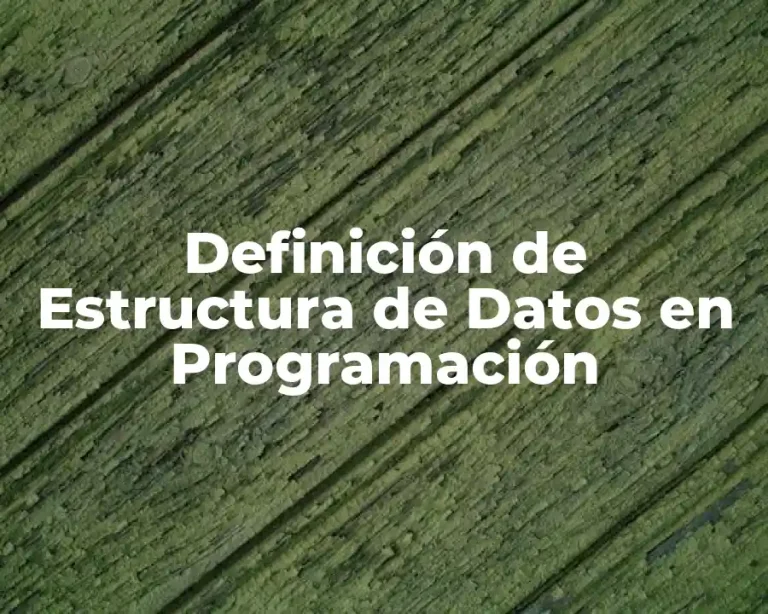 Definición de Estructura de Datos en Programación