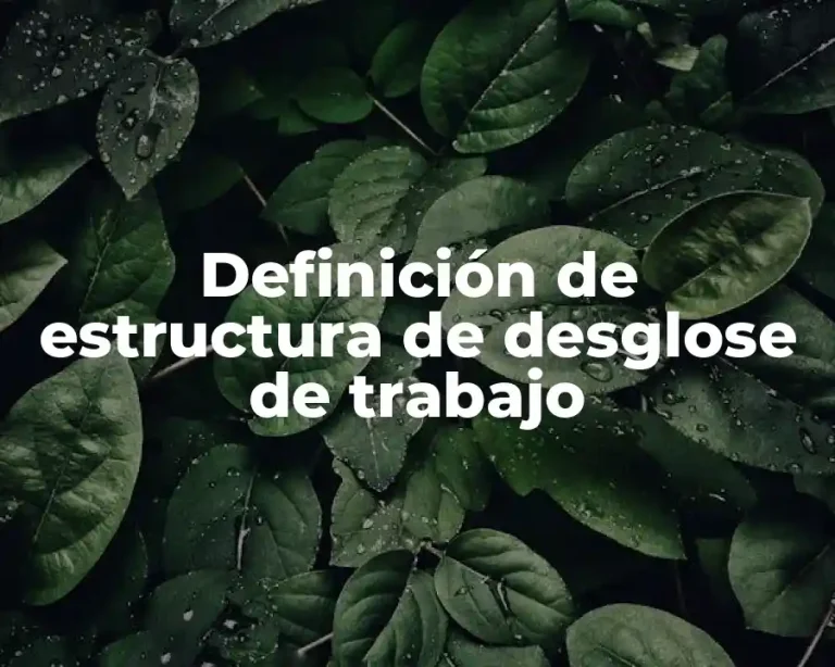Definición de estructura de desglose de trabajo