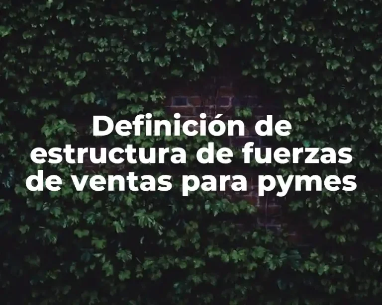 Definición de estructura de fuerzas de ventas para pymes