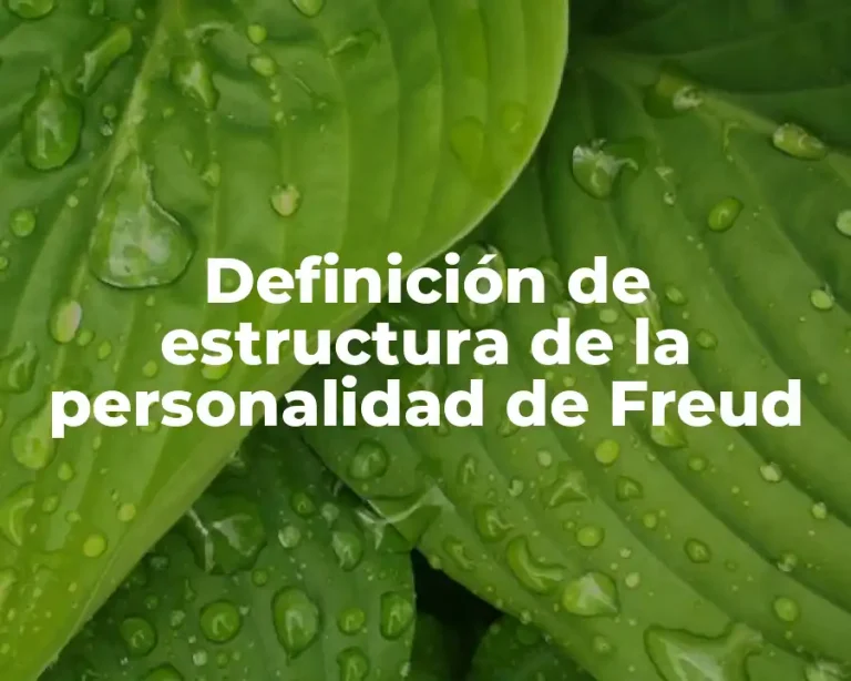 Definición de estructura de la personalidad de Freud