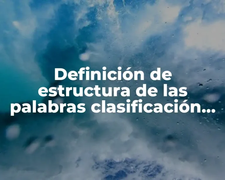 Definición de estructura de las palabras clasificación morfológicas