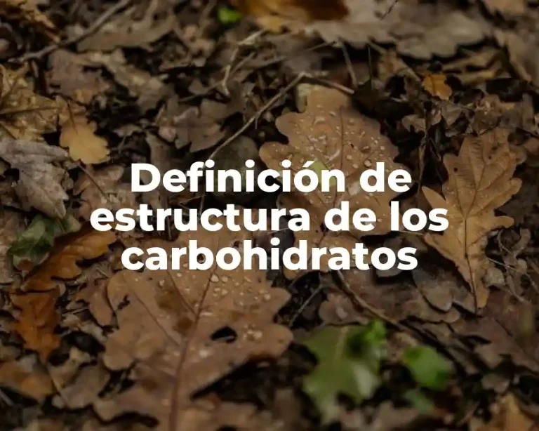 Definición de estructura de los carbohidratos