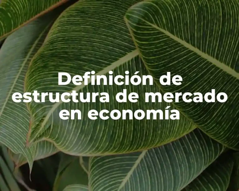 Definición de estructura de mercado en economía