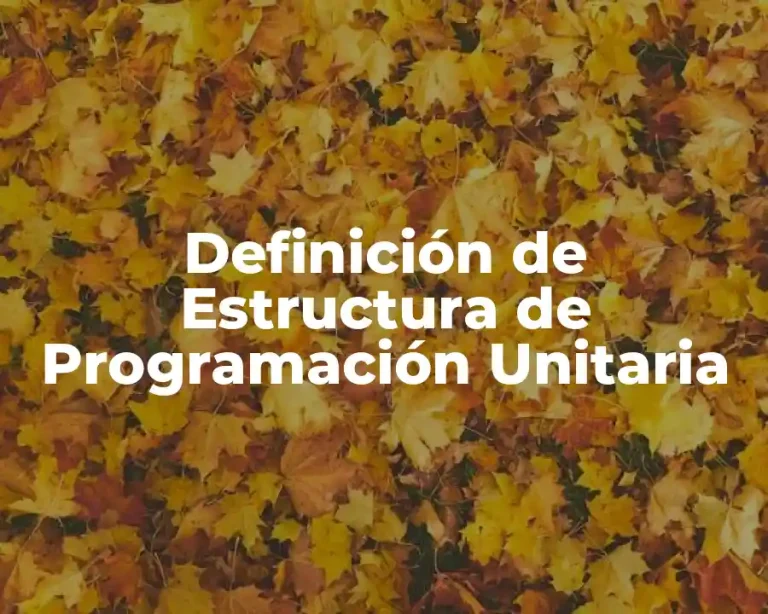 Definición de Estructura de Programación Unitaria