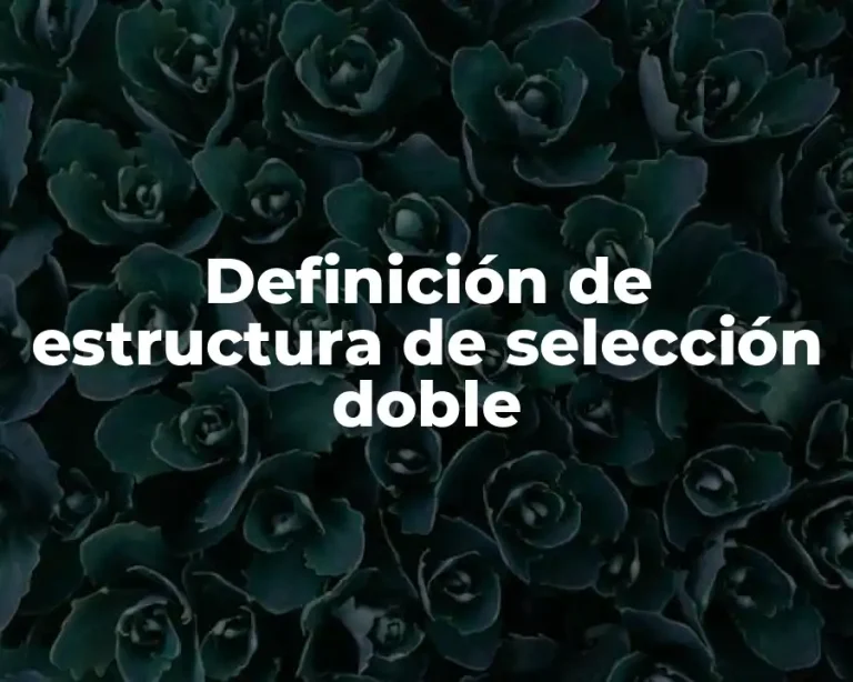 Definición de estructura de selección doble