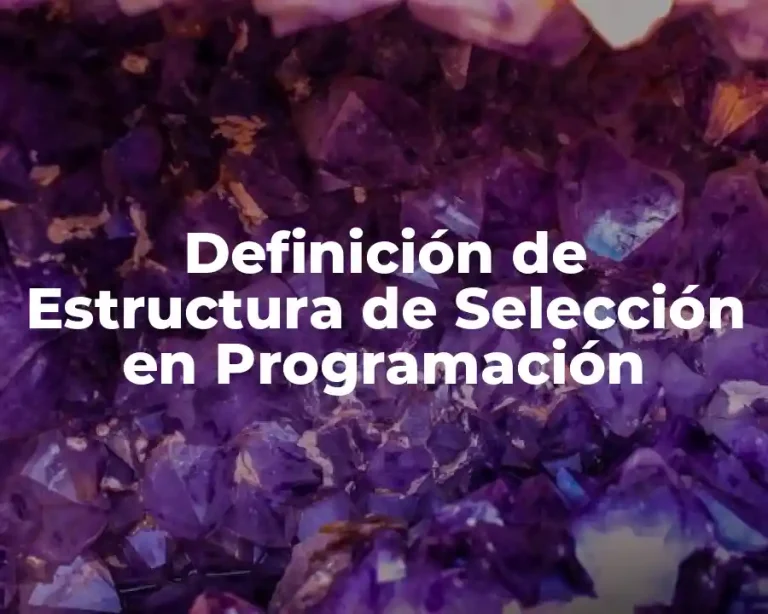 Definición de Estructura de Selección en Programación