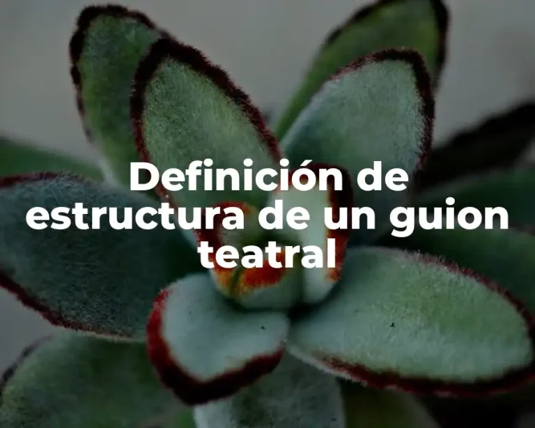 Definición de estructura de un guion teatral