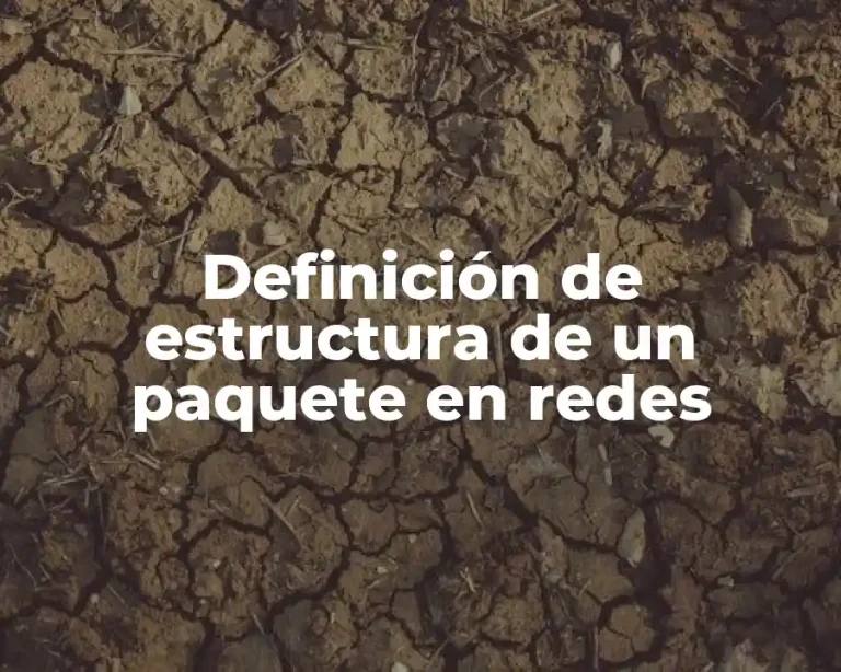 Definición de estructura de un paquete en redes