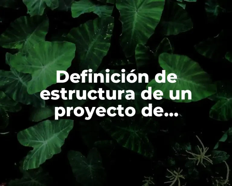 Definición de estructura de un proyecto de investigación de