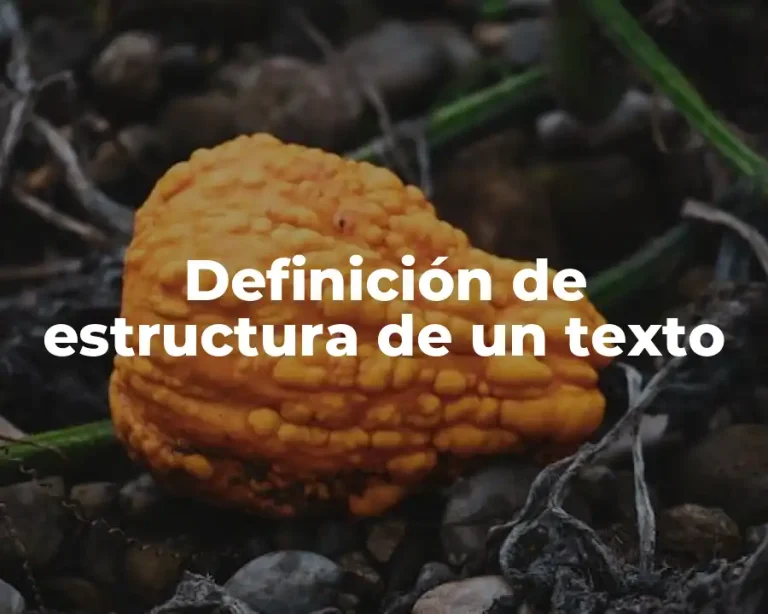 Definición de estructura de un texto