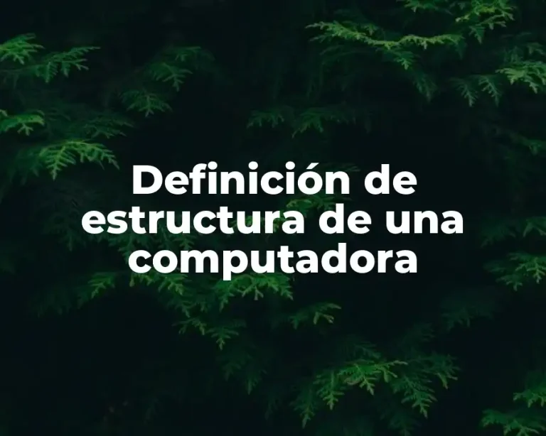 Definición de estructura de una computadora