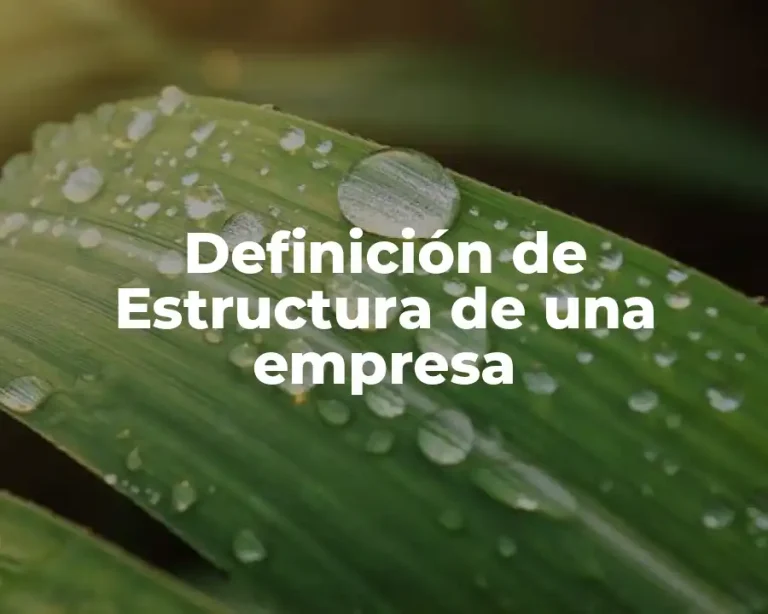 Definición de Estructura de una empresa