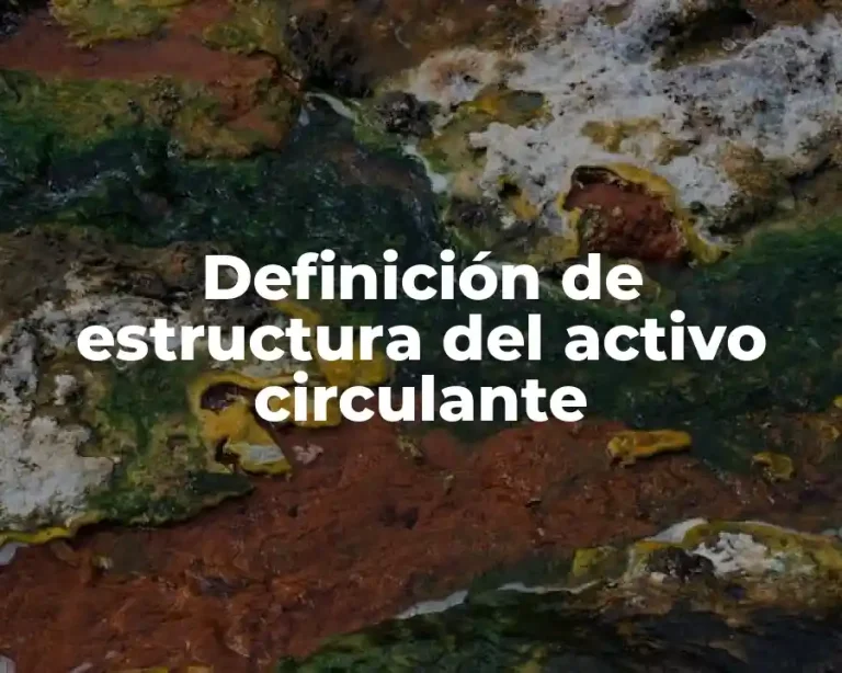 Definición de estructura del activo circulante
