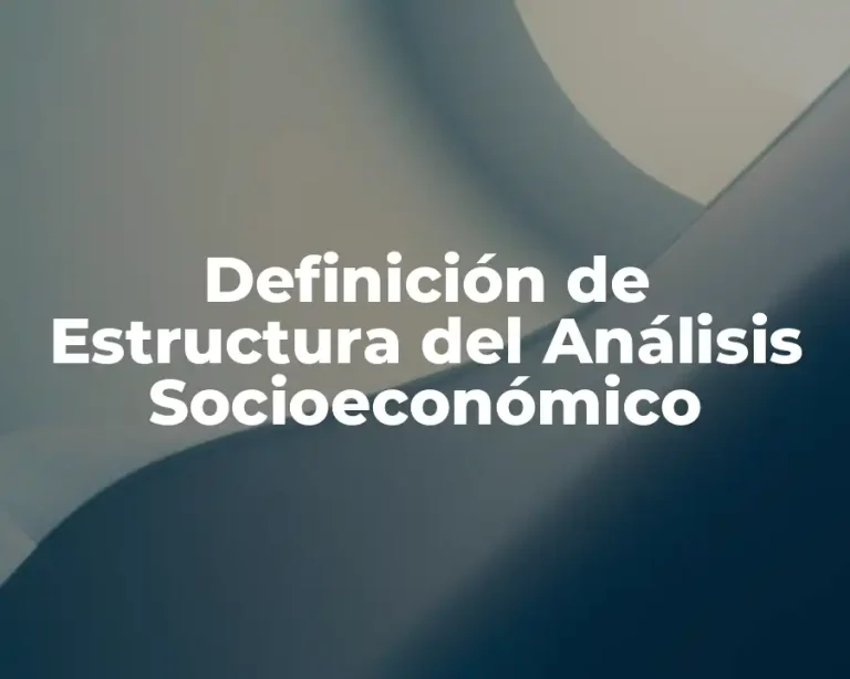 Definición de Estructura del Análisis Socioeconómico