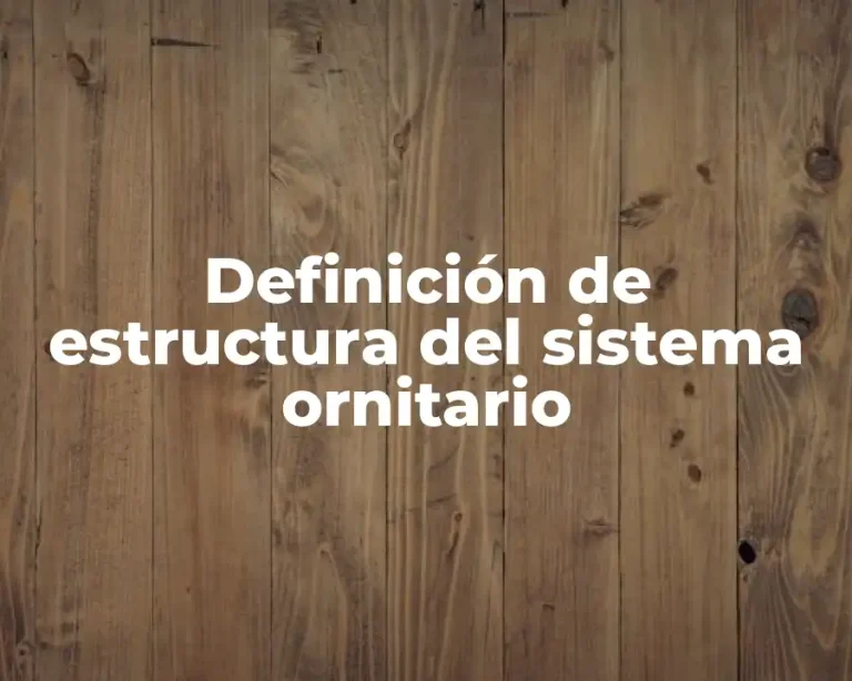Definición de estructura del sistema ornitario
