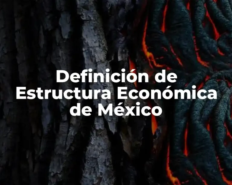 Definición de Estructura Económica de México