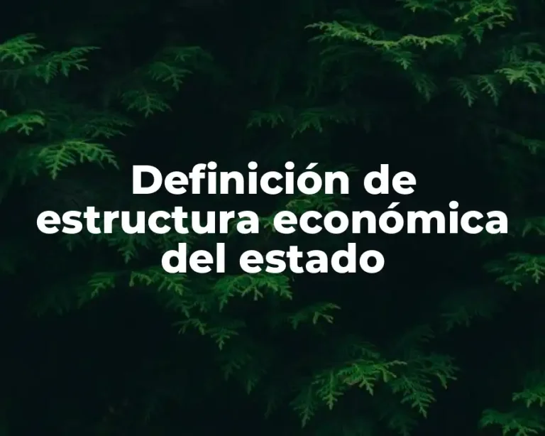Definición de estructura económica del estado
