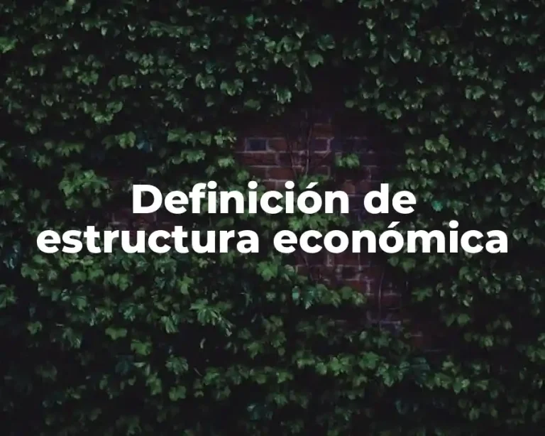 Definición de estructura económica