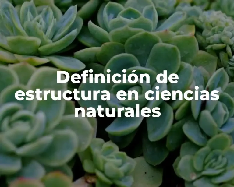 Definición de estructura en ciencias naturales